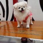 赏金女王的挑战:在男性主导行业中的奋斗 k5wuj2j