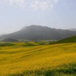 赏金女王的故事:她的传奇如何激励他人 lsk8gl2x