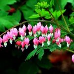 女性创业者的榜样:赏金女王的启示 piyk49i