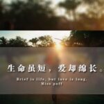 赏金大对决中的心理战:如何掌控对手 xc2g3v